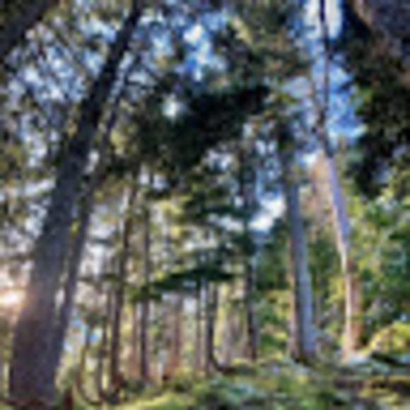 Meet your Posher, Kelly - Picture 1 of 1